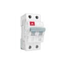 Havells DHMGCDPF032 32A DP MCB image 1